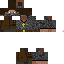 Texture for Steve