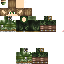 Texture for elf
