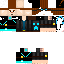 Texture for Bert_Fitzgerald