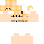 Texture for max_xd