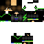 Texture for 202 vector