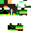 Texture for creeper