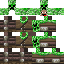 Texture for jeferson10003