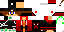 Texture for paquette