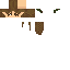 Texture for WIP