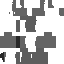 Texture for Phantom