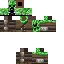 Texture for Steave