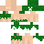 Texture for Steve.F.P