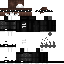 Texture for PHOENIX124
