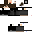 Texture for Rafael