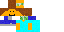 Texture for Steve