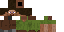 Texture for Steve