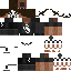 Texture for Sting WCW
