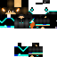 Texture for Steve