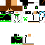 Texture for Hicape