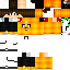 Texture for ds