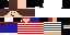 Texture for Zerolick