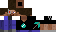 Texture for Miner