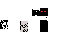 Texture for leon