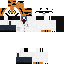 Texture for DrPROF.TIGER