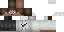 Texture for HostMr