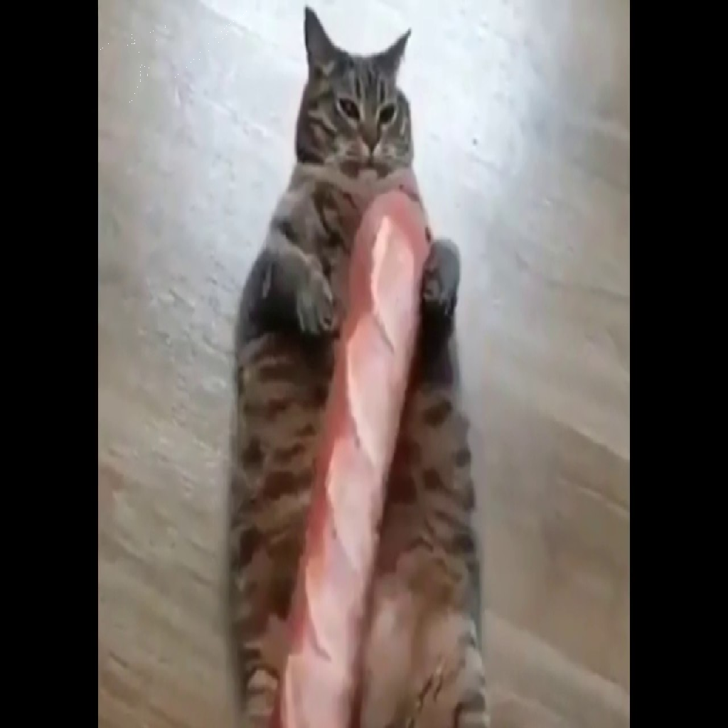 Texture for Baguette Cat Totem