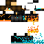 Texture for HK_SHINGJACKY