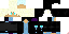 Texture for Ender