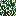 Texture for christmas tree leaves