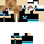 Texture for киса