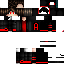 Texture for ds