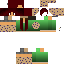 Texture for ds