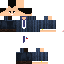 Texture for president2