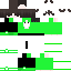 Texture for pashmax