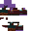 Texture for pillager