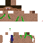 Texture for Updated steve
