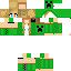 Texture for dss