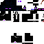 Texture for Ender