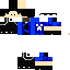 Texture for rex501