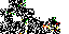 Texture for cumpa 1