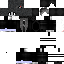 Texture for Frauquadrix