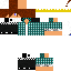 Texture for   gs