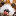 Texture for shiny red panda