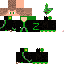 Texture for zaca 1