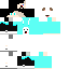 Texture for ItzMossy