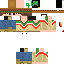 Texture for gwt