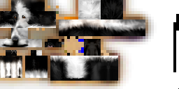 Texture for Rinc