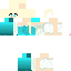 Texture for Elsa
