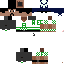 Texture for STEVE