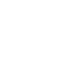 Texture for ascii_sga